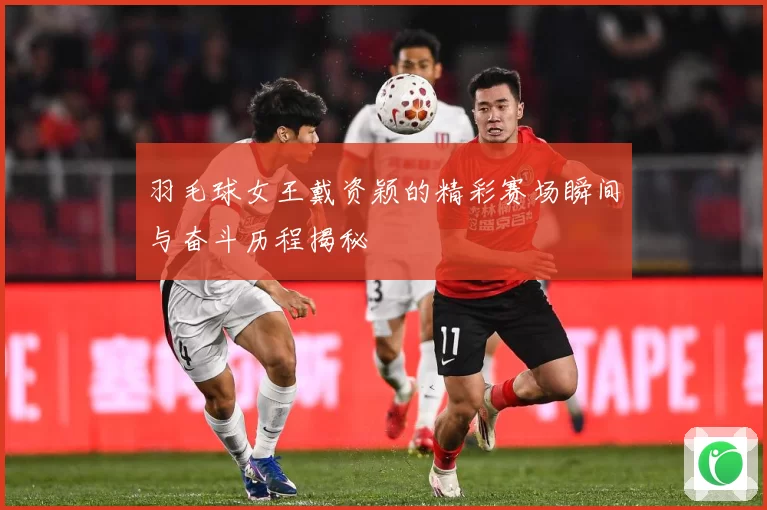 羽毛球女王戴资颖的精彩赛场瞬间与奋斗历程揭秘